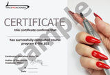 E-file 101